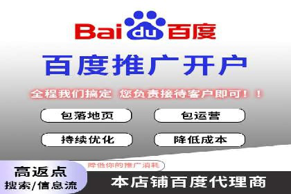 SEM广告投放的竞价策略与效果评估案例